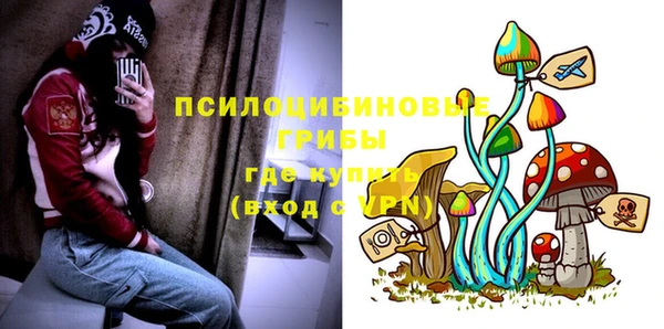 стафф Абаза