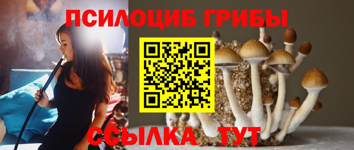 Галлюциногенные грибы Psilocybine cubensis Сухой Лог
