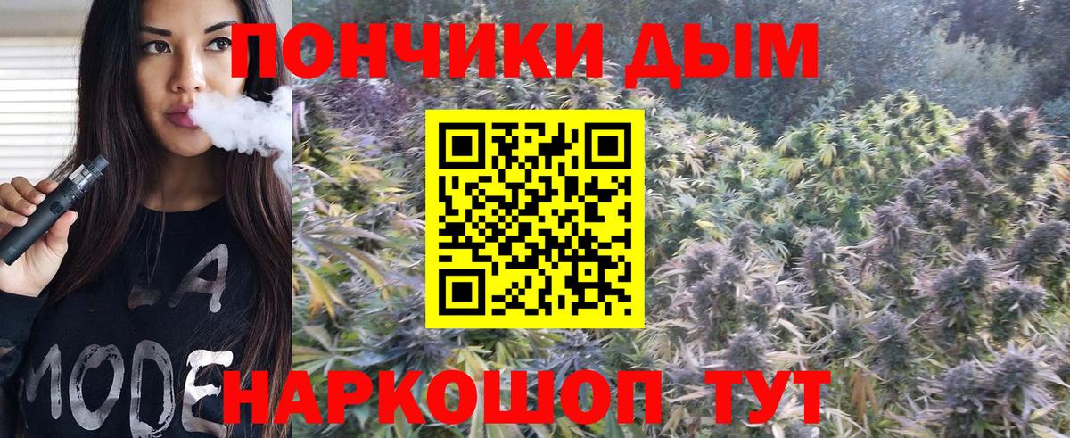 Сухой Лог  Бошки марихуана конопля  Вход с VPN  Конопля планчик  Шишки марихуана гибрид 